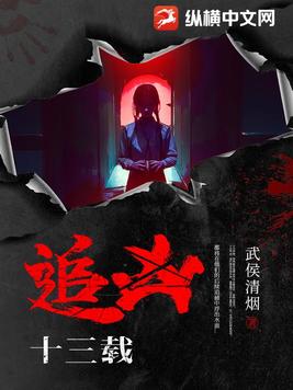 追凶十三载