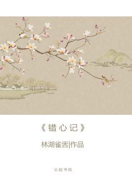 错心记