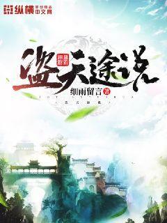 盗天途说