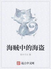 海贼中的海盗