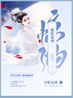 孤影惊鸿